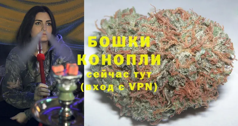 Бошки марихуана SATIVA & INDICA  сколько стоит  Кировград 